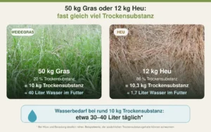 Vergleich von 50 kg Gras und 12 kg Heu: nahezu gleiche Trockensubstanz, aber unterschiedlich hohe Wasseraufnahme